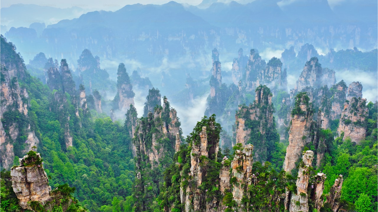 Private vs Group Tours